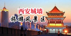 在线观看,爆操美女中国陕西-西安城墙旅游风景区