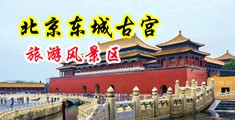 好疼啊,轻点cao,啊,嗯视频中国北京-东城古宫旅游风景区